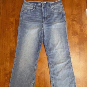 Wallflower ~ Sz 11 ~ Fearless Curvy Super High Rise Jeans ~ Excellent/New Condit